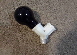 Black_Light Y-Socket